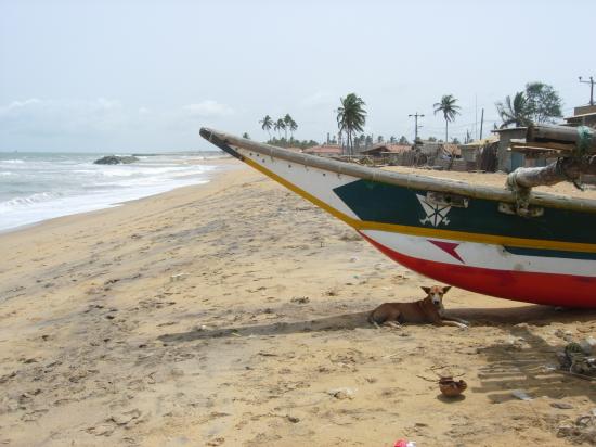 Negombo - Sri Lanka