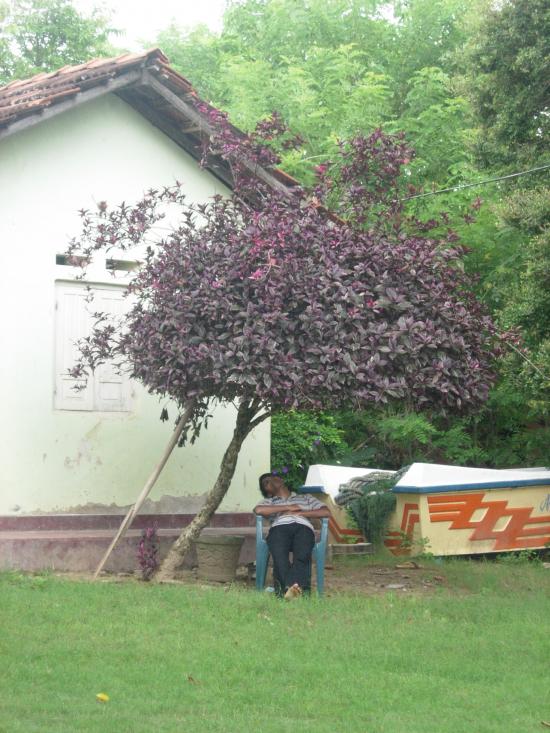 Repos - Sri Lanka