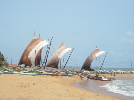 Bateaux de pêche - Sri Lanka