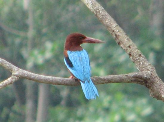 Sri Lanka