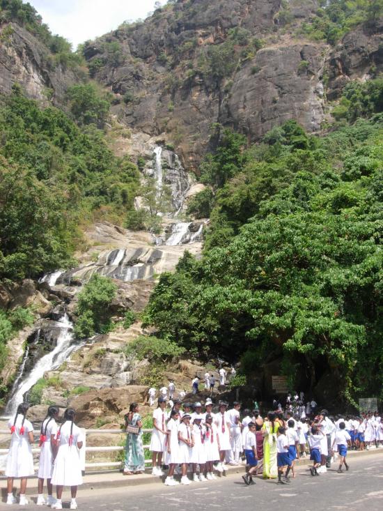 Cascade - Sri Lanka